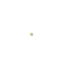 Aphid